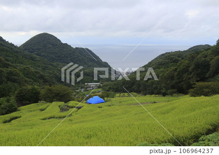 棚田のある風景 棚田のある風景 106964237