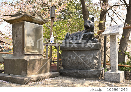 川口散歩:青木氷川神社 富士塚 撫で犬 川口市青木 川口散歩:青木氷川神社 富士塚 撫で犬 川口市青木 106964246