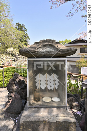 川口散歩：青木氷川神社　富士塚　川口市青木 106964248