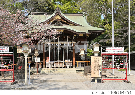 川口散歩：青木氷川神社　拝殿　参道　川口市青木 106964254