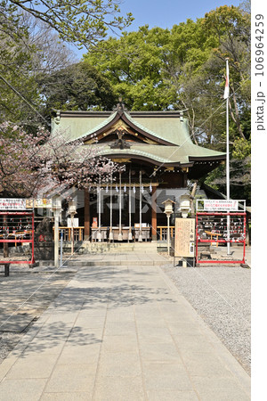 川口散歩:青木氷川神社 拝殿 参道 川口市青木 川口散歩:青木氷川神社 拝殿 参道 川口市青木 106964259