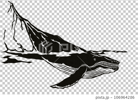 鯨魚的插圖 106964286