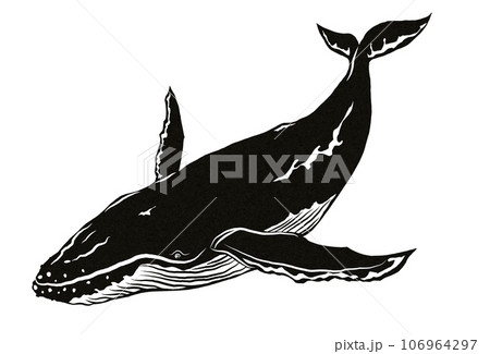 シンプル鯨のイラスト素材 [106964297] - PIXTA