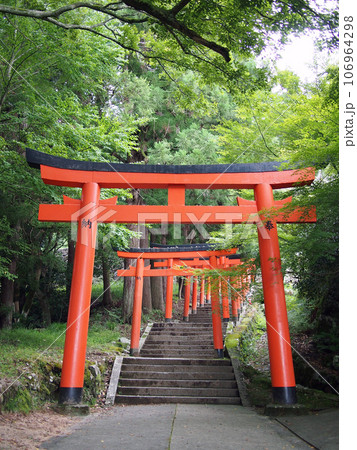 有子山稲荷神社 有子山稲荷神社 106964298