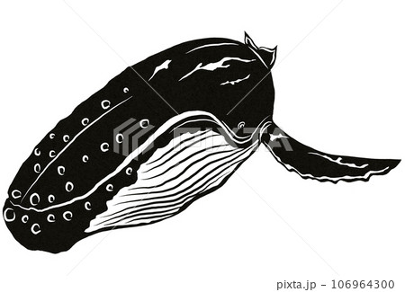 鯨白黒イラスト 106964300