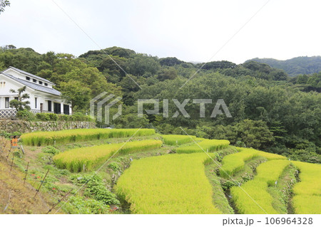 石部の棚田の風景 石部の棚田の風景 106964328
