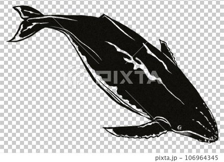 Migrating whale illustration 106964345