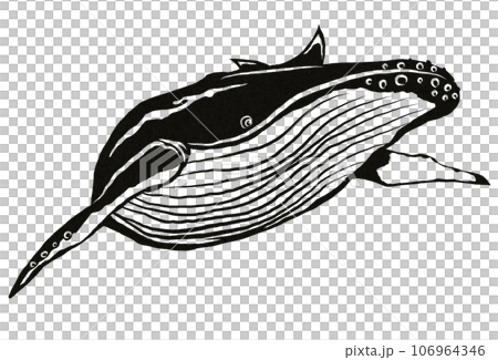回遊鯨の切り絵 回遊鯨の切り絵 106964346