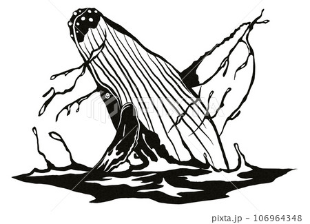 浮上する鯨イラスト 106964348