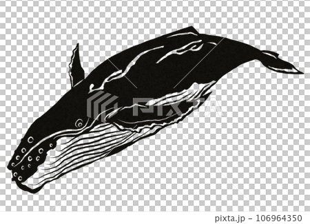 潜水する鯨イラスト 潜水する鯨イラスト 106964350
