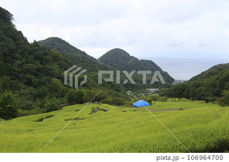 美しい棚田の風景 106964700