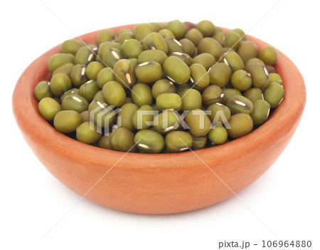 Mung bean Mung bean 106964880