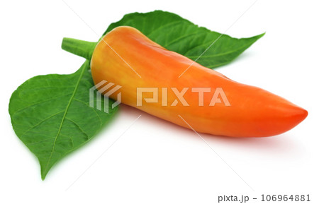 Fresh banana pepper Fresh banana pepper 106964881