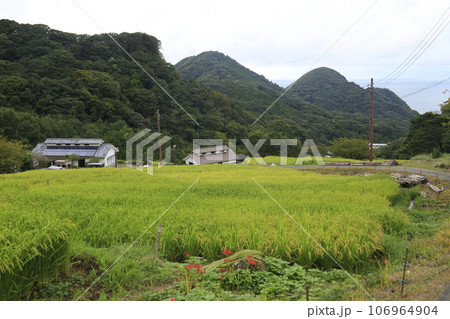 美しい棚田の風景 106964904