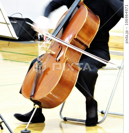 チェロの演奏風景 106964971