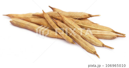 Fresh mustard pod Fresh mustard pod 106965010