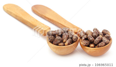 Castor beans in wooden spoon 106965011