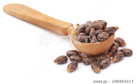 Castor beans in wooden spoon 106965013