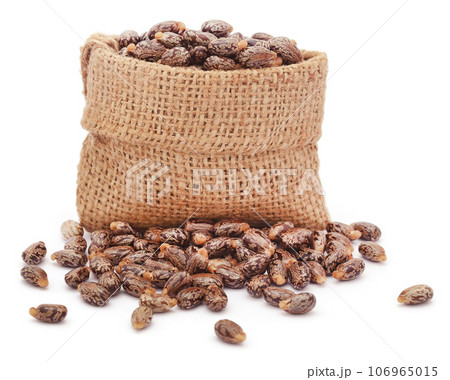 Castor beans in jute sack Castor beans in jute sack 106965015
