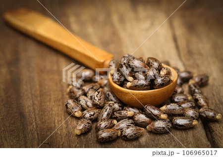 Castor beans Castor beans 106965017