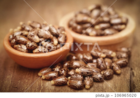 Castor beans Castor beans 106965020