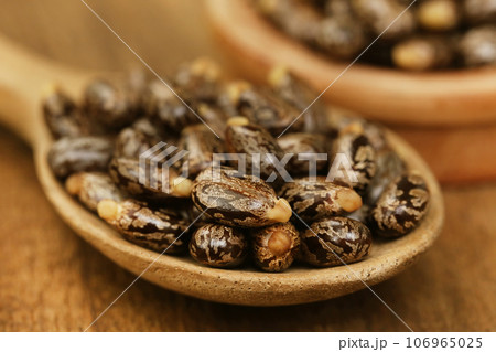 Castor beans 106965025