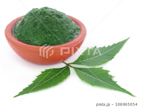 Medicinal neem leaves with ground paste 106965054