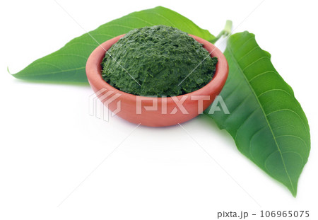 Mashed vitex Negundo or Medicinal Nishinda leaves 106965075