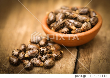 Castor beans Castor beans 106965118
