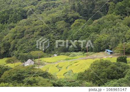 美しい棚田の風景 美しい棚田の風景 106965147