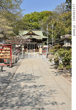 川口散歩：青木氷川神社　拝殿　参道　川口市青木 106965377