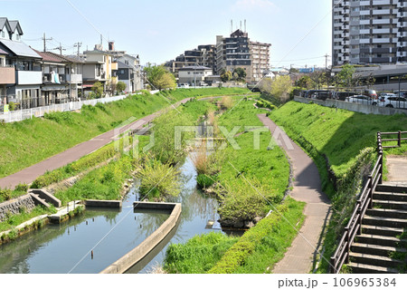 川口散歩：旧芝川　一級河川　川口市青木 106965384