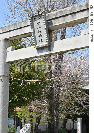 川口散歩：十二所神社　川口市南鳩ヶ谷 106965392