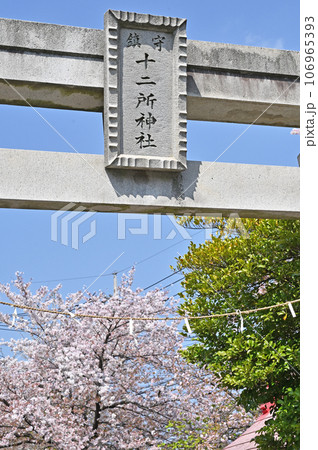 川口散歩:十二所神社 川口市南鳩ヶ谷 川口散歩:十二所神社 川口市南鳩ヶ谷 106965393