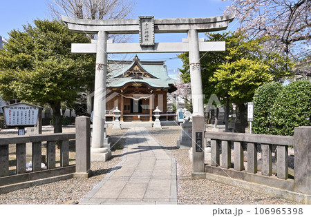 川口散歩：十二所神社　川口市南鳩ヶ谷 106965398