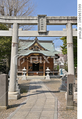 川口散歩：十二所神社　川口市南鳩ヶ谷 106965399