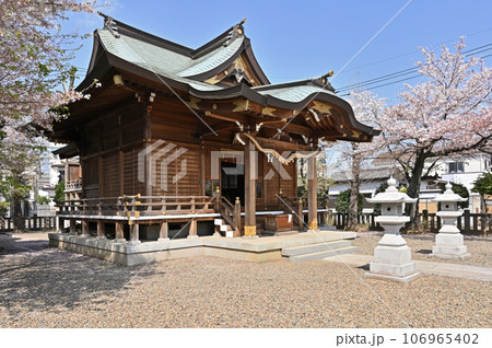 川口散歩：十二所神社　川口市南鳩ヶ谷 106965402