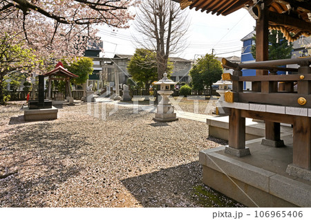 川口散歩：十二所神社　川口市南鳩ヶ谷 106965406