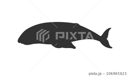 Baleen whale black shape silhouette image, vector illustration isolated. 106965823