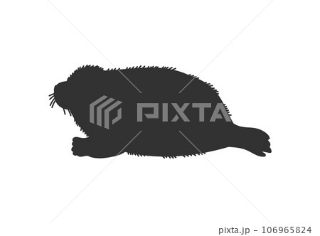 Fur seal baby, black silhouette icon, flat vector illustration isolated on white background. Fur seal baby, black silhouette icon, flat vector illustration isolated on white background. 106965824