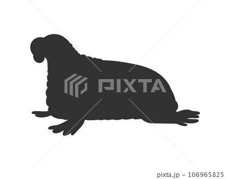 Black silhouette of walrus marine mammal flat style, vector illustration Black silhouette of walrus marine mammal flat style, vector illustration 106965825