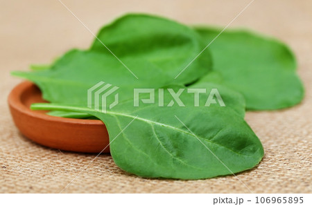 Fresh spinach 106965895