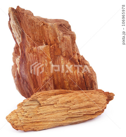 Pieces of fossil rock over white background 106965978