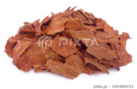 Dry tobacco leaves 106966033