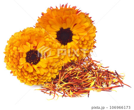 Closeup of calendula 106966173