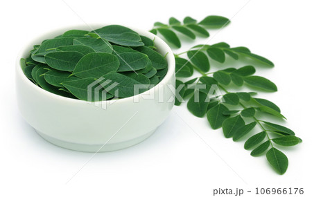 Edible moringa leaves 106966176