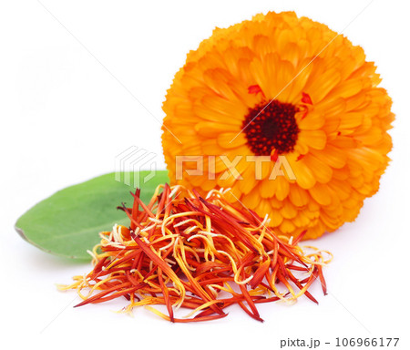 Closeup of calendula with green leaf Closeup of calendula with green leaf 106966177