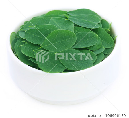 Moringa leaves Moringa leaves 106966180