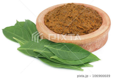Ayurvedic henna leaves with paste Ayurvedic henna leaves with paste 106966689