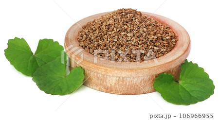 Ajwain seeds with thankuni leaves Ajwain seeds with thankuni leaves 106966955